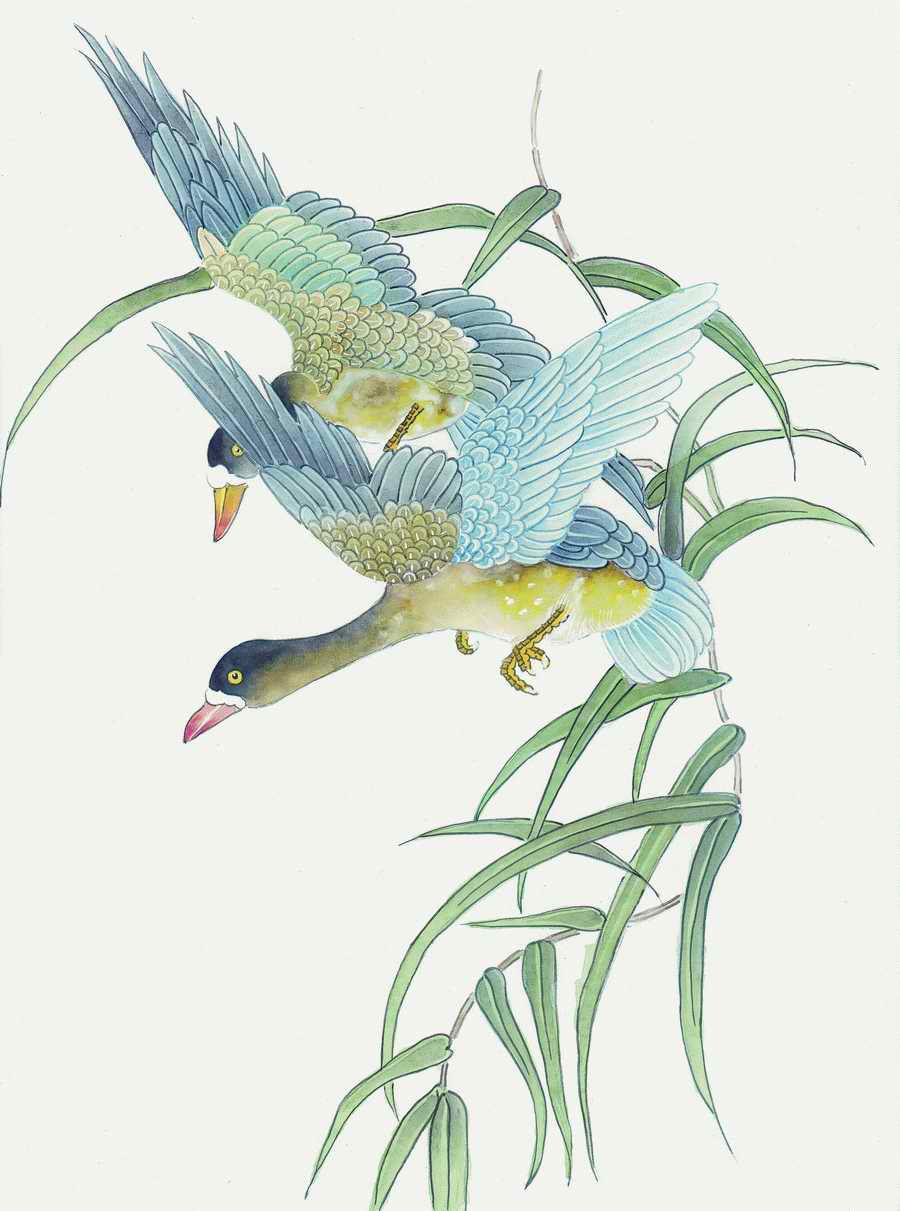 Fortune Birds - Imagemore ></a>
<script language=JavaScript> 
  var txt = 