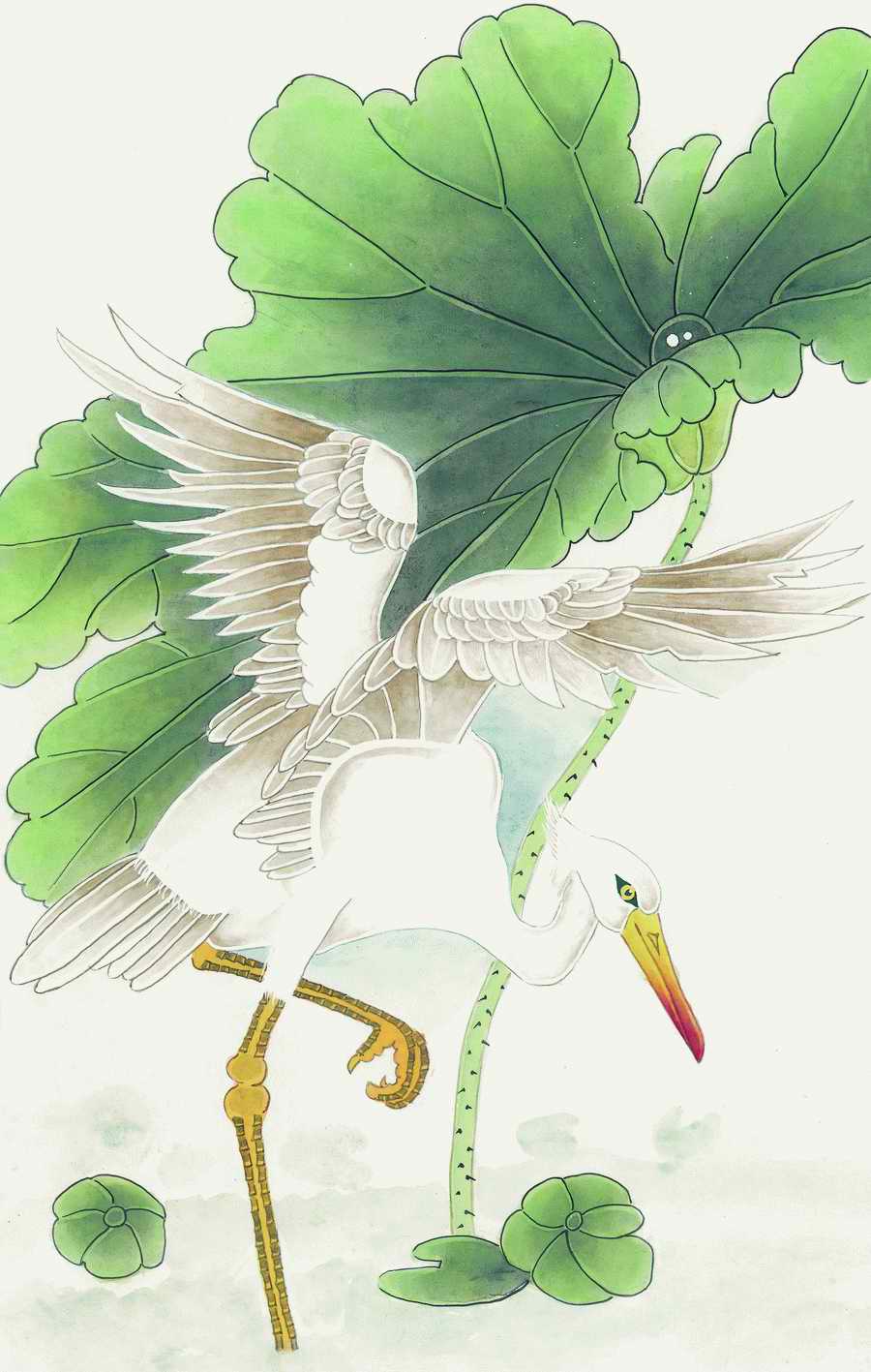 Fortune Birds - Imagemore ></a>
<script language=JavaScript> 
  var txt = 