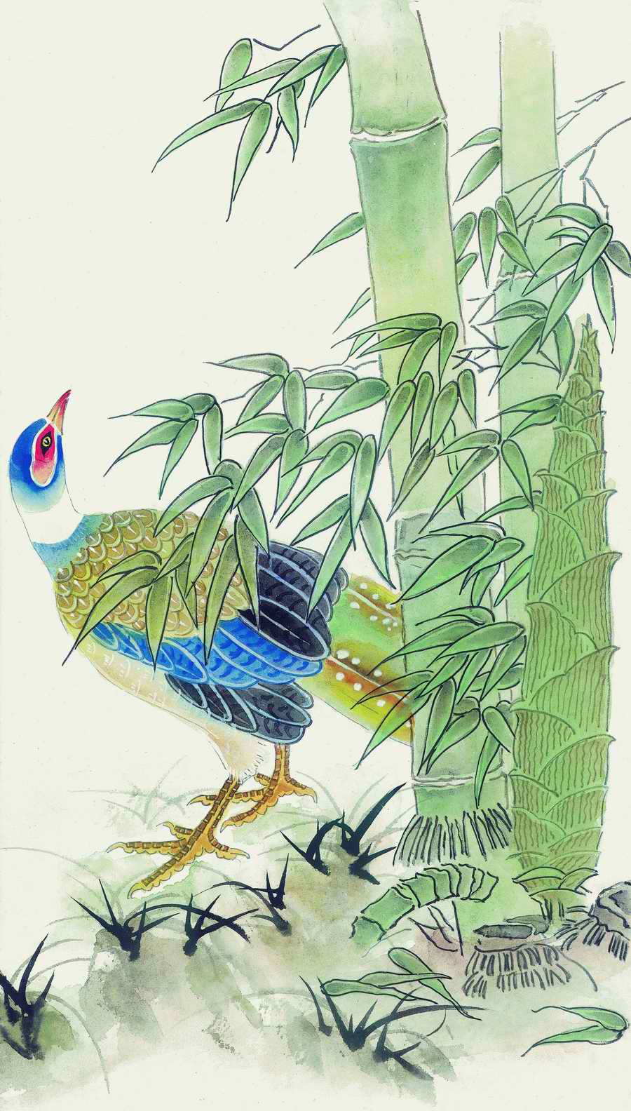 Fortune Birds - Imagemore ></a>
<script language=JavaScript> 
  var txt = 