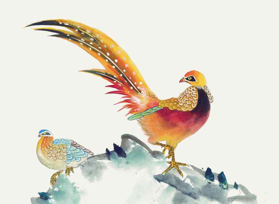 Fortune Birds - Imagemore ></a>
<script language=JavaScript> 
  var txt = 