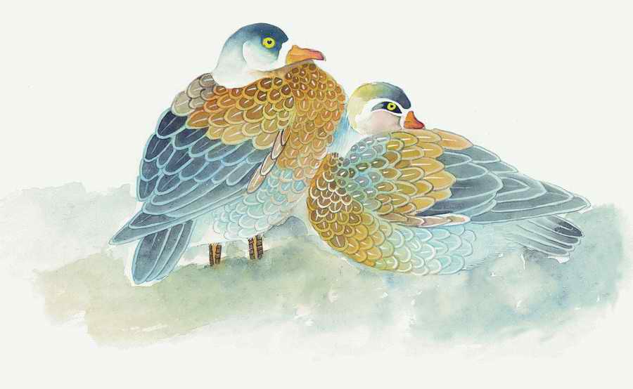 Fortune Birds - Imagemore ></a>
<script language=JavaScript> 
  var txt = 