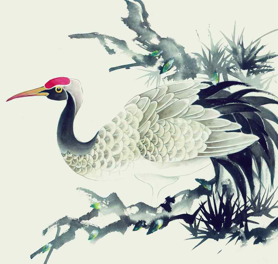 Fortune Birds - Imagemore ></a>
<script language=JavaScript> 
  var txt = 