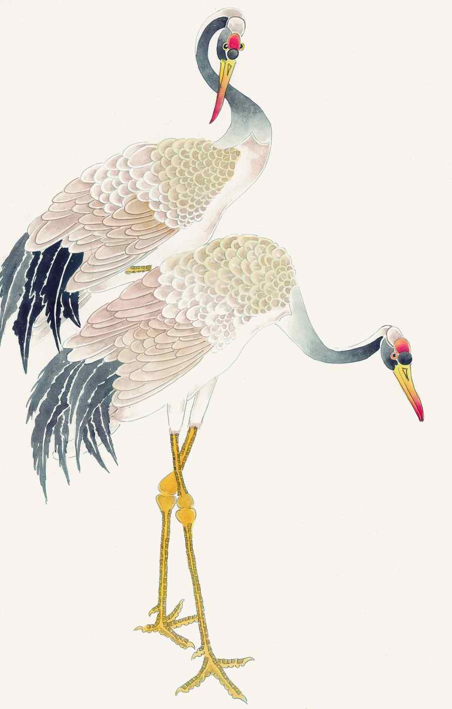 Fortune Birds - Imagemore ></a>
<script language=JavaScript> 
  var txt = 