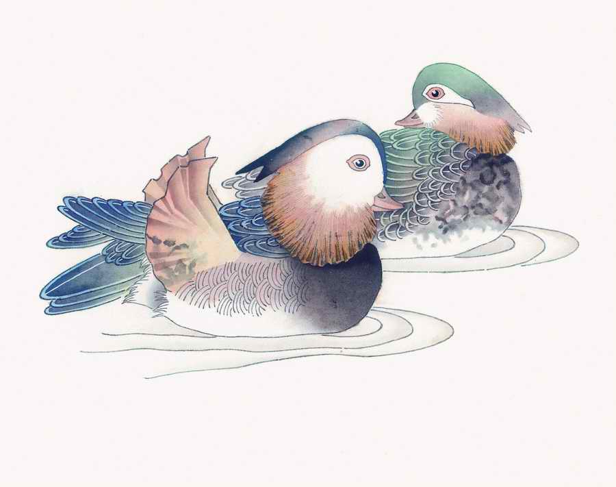 Fortune Birds - Imagemore ></a>
<script language=JavaScript> 
  var txt = 