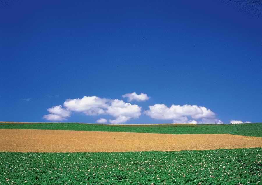 Green World and Sky - KPG Gold ></a>
<script language=JavaScript> 
  var txt = 
