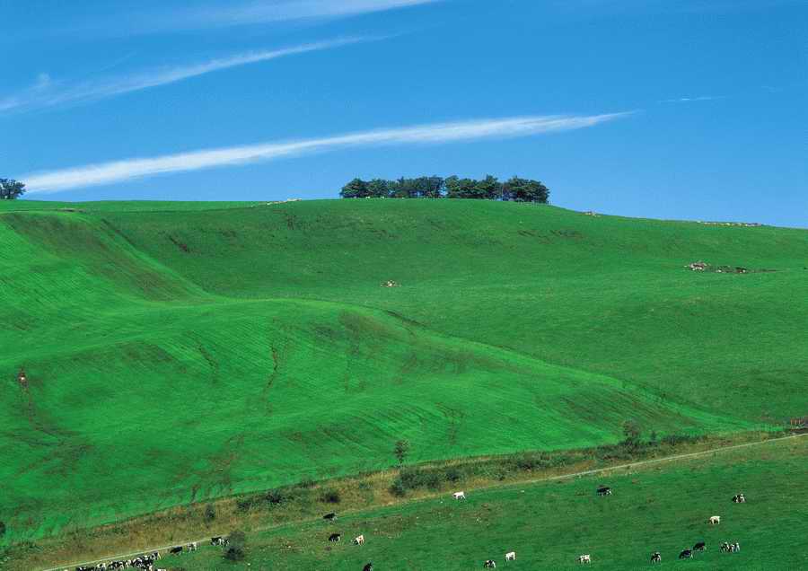 Green World and Sky - KPG Gold ></a>
<script language=JavaScript> 
  var txt = 