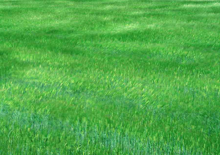 Green World and Sky - KPG Gold ></a>
<script language=JavaScript> 
  var txt = 