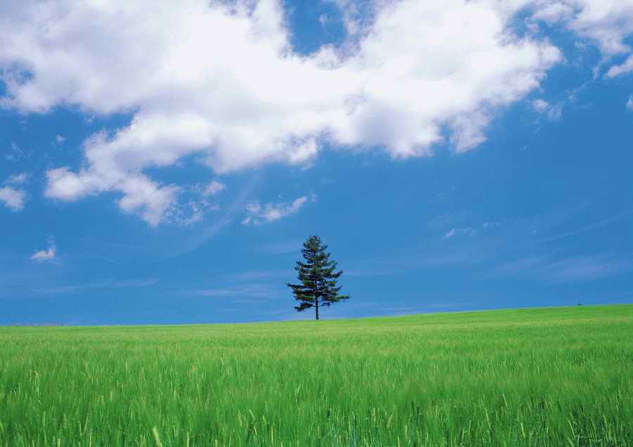 Green World and Sky - KPG Gold ></a>
<script language=JavaScript> 
  var txt = 