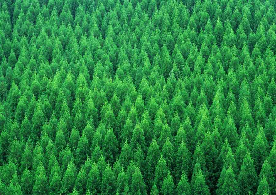 Green World and Sky - KPG Gold ></a>
<script language=JavaScript> 
  var txt = 