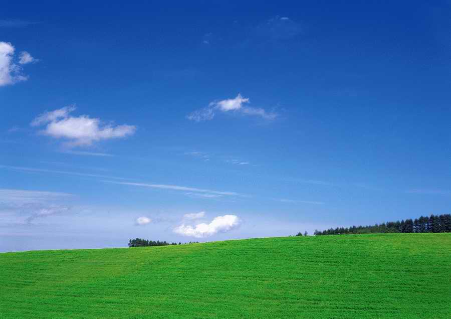 Green World and Sky - KPG Gold ></a>
<script language=JavaScript> 
  var txt = 
