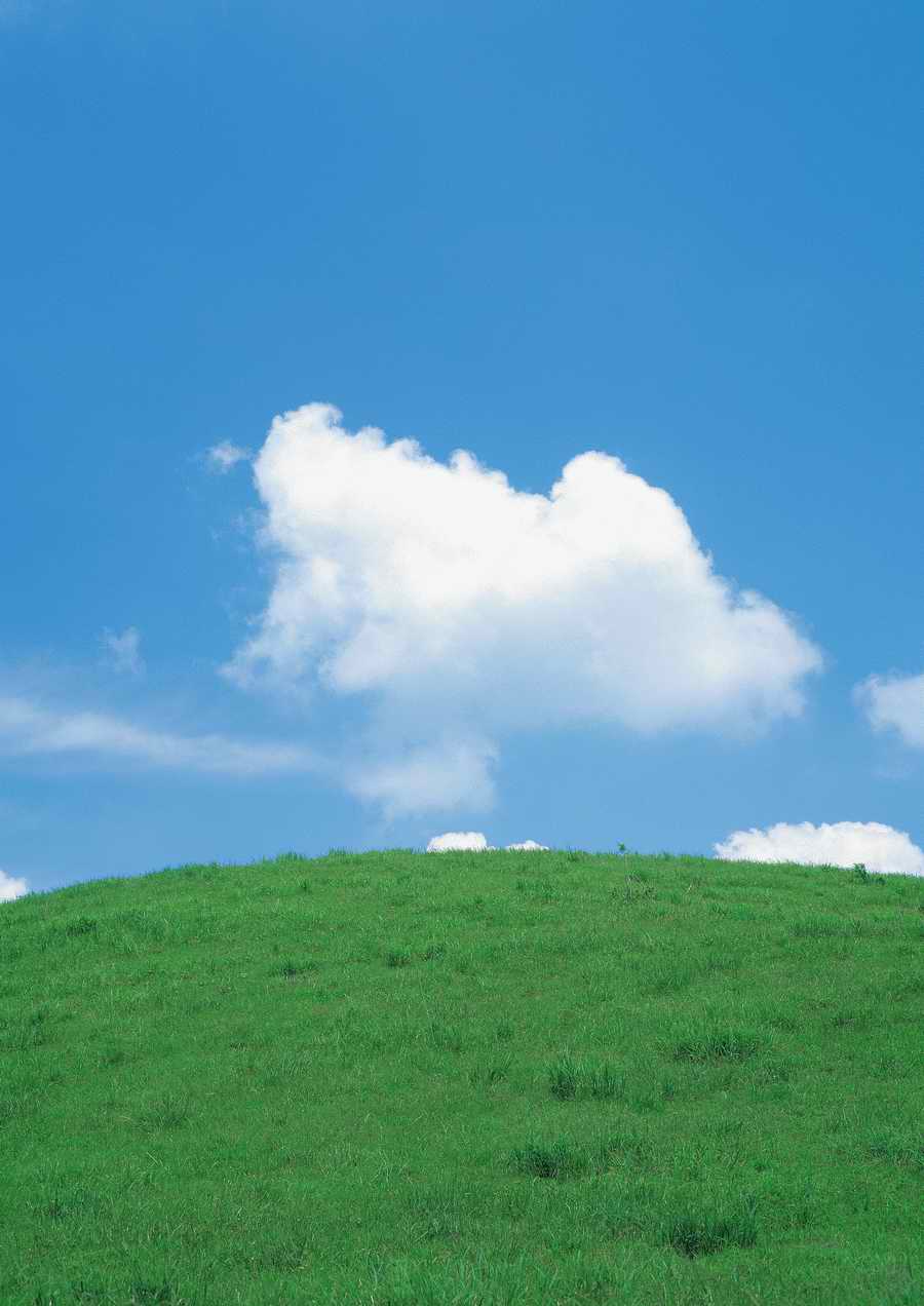 Green World and Sky - KPG Gold ></a>
<script language=JavaScript> 
  var txt = 