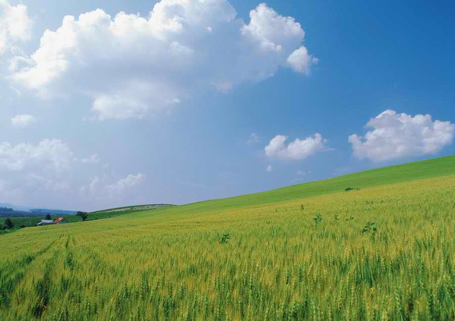 Green World and Sky - KPG Gold ></a>
<script language=JavaScript> 
  var txt = 