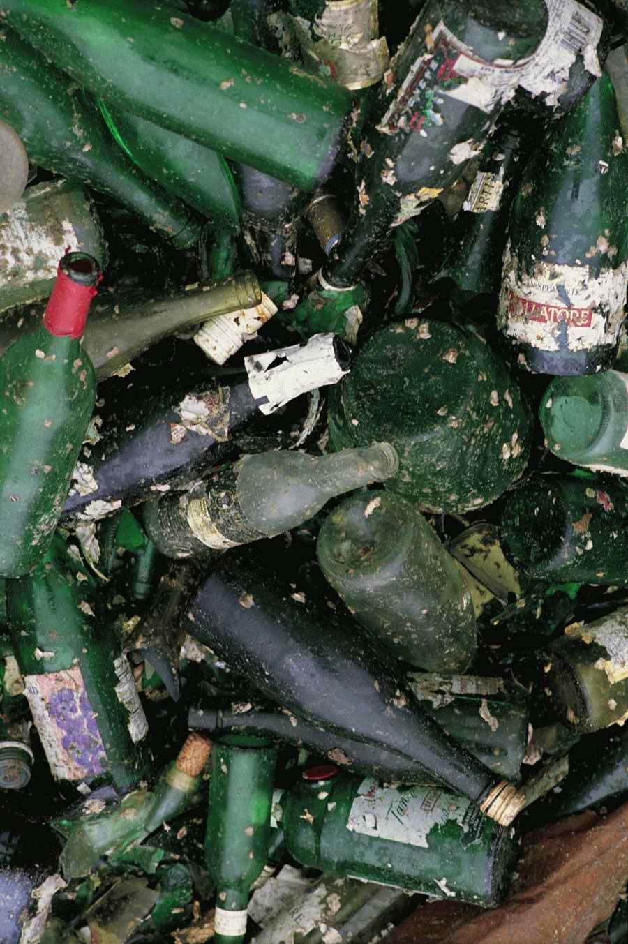 Junkyard - KPT Power Photos ></a>
<script language=JavaScript> 
  var txt = 