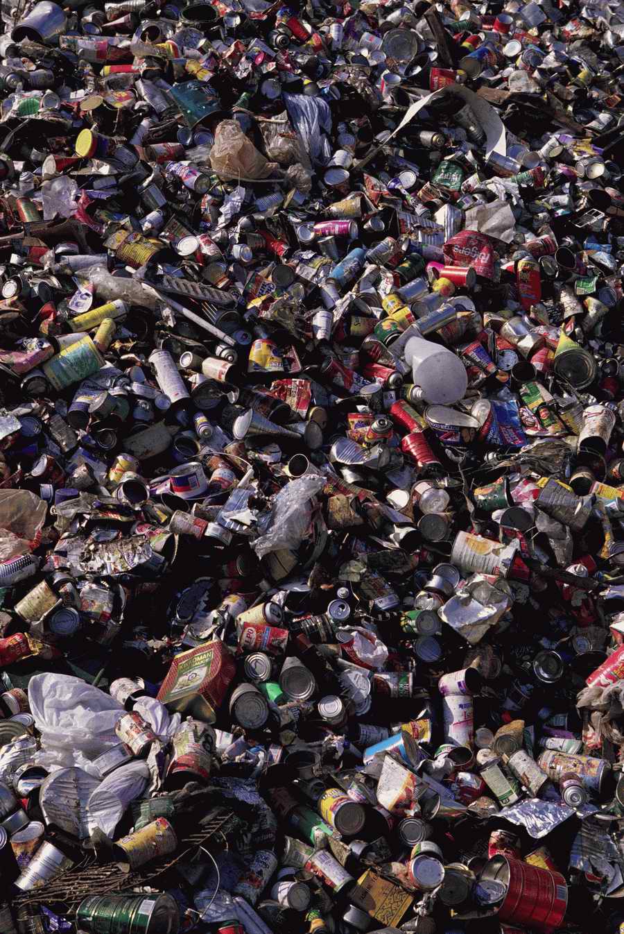 Junkyard - KPT Power Photos ></a>
<script language=JavaScript> 
  var txt = 