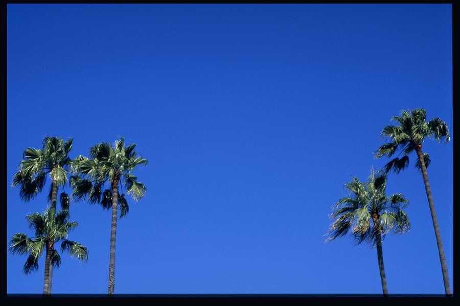 Sky, Water & Landscapes - KPT Power Photos ></a>
<script language=JavaScript> 
  var txt = 