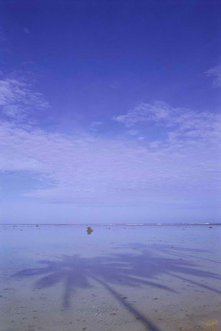 Tropical Paradise - KPT Power Photos ></a>
<script language=JavaScript> 
  var txt = 