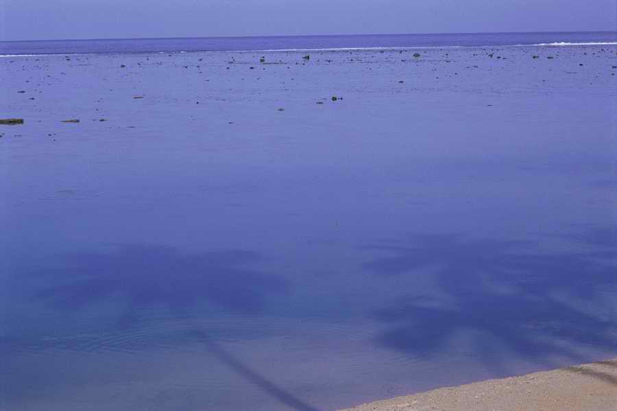 Tropical Paradise - KPT Power Photos ></a>
<script language=JavaScript> 
  var txt = 