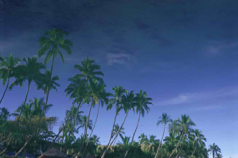 Tropical Paradise - KPT Power Photos ></a>
<script language=JavaScript> 
  var txt = 