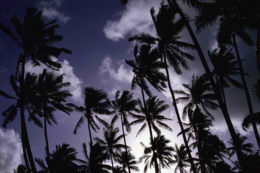 Tropical Paradise - KPT Power Photos ></a>
<script language=JavaScript> 
  var txt = 