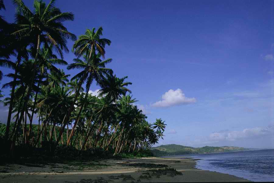 Tropical Paradise - KPT Power Photos ></a>
<script language=JavaScript> 
  var txt = 