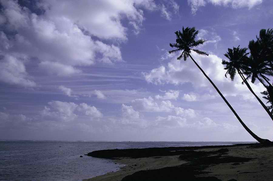 Tropical Paradise - KPT Power Photos ></a>
<script language=JavaScript> 
  var txt = 