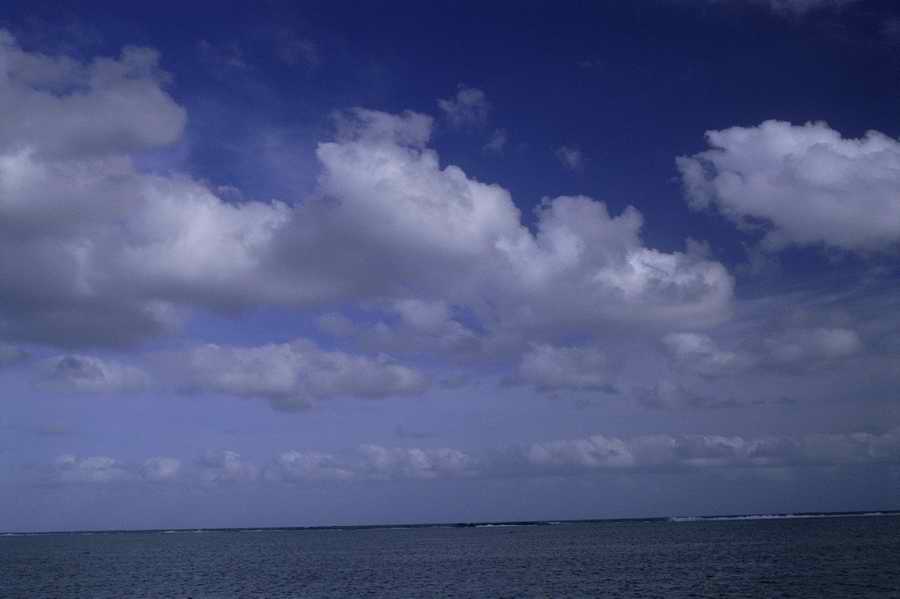 Tropical Paradise - KPT Power Photos ></a>
<script language=JavaScript> 
  var txt = 