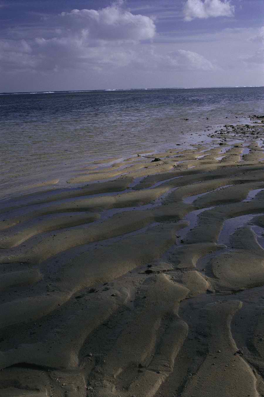 Tropical Paradise - KPT Power Photos ></a>
<script language=JavaScript> 
  var txt = 