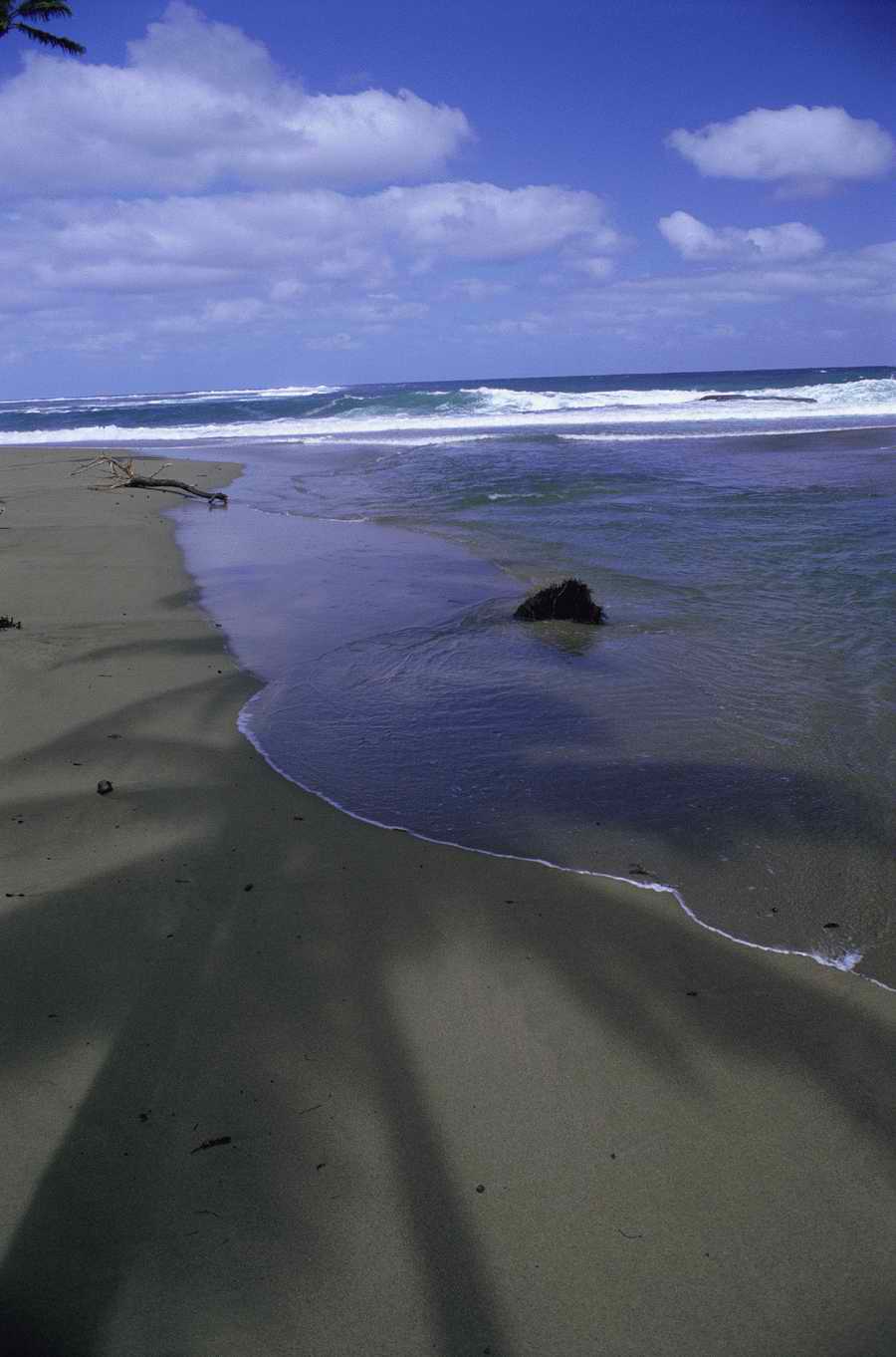 Tropical Paradise - KPT Power Photos ></a>
<script language=JavaScript> 
  var txt = 