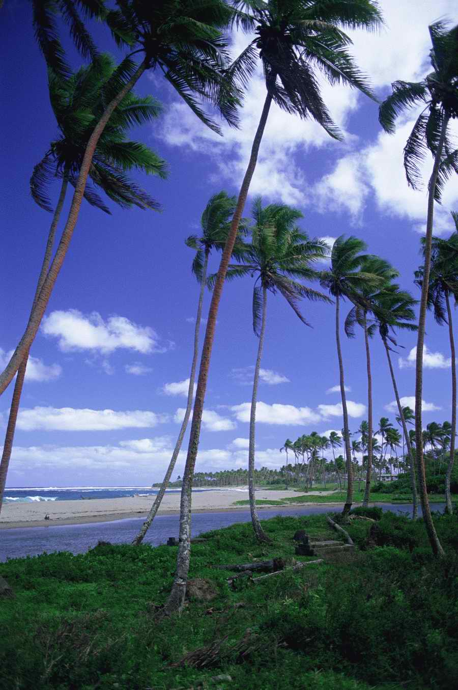 Tropical Paradise - KPT Power Photos ></a>
<script language=JavaScript> 
  var txt = 