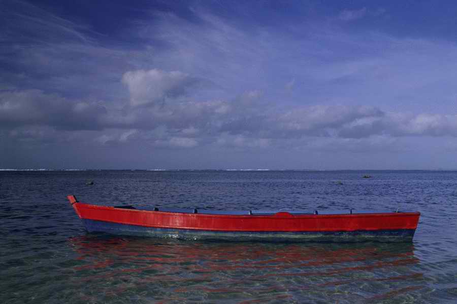 Tropical Paradise - KPT Power Photos ></a>
<script language=JavaScript> 
  var txt = 