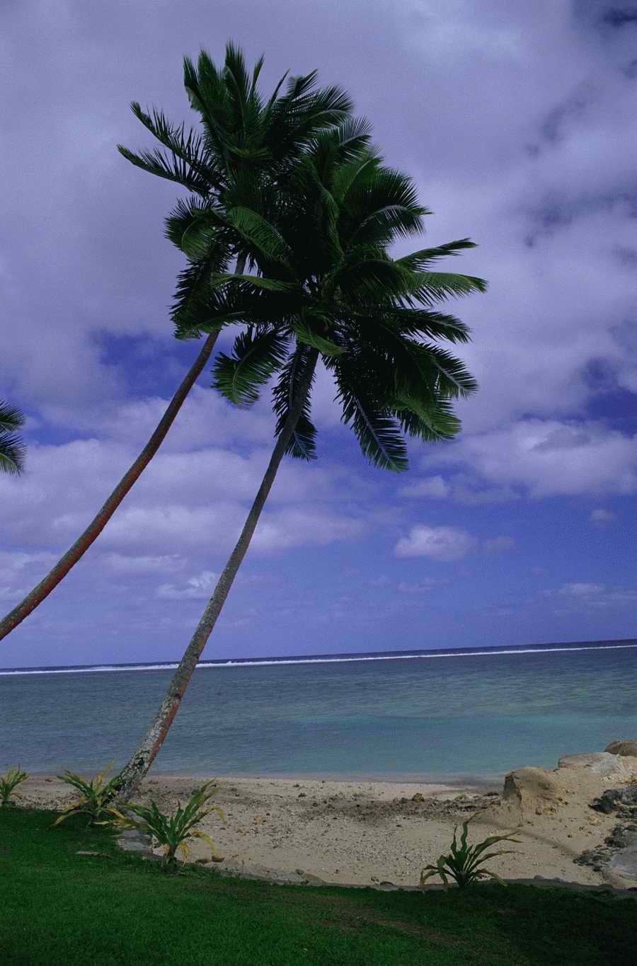 Tropical Paradise - KPT Power Photos ></a>
<script language=JavaScript> 
  var txt = 