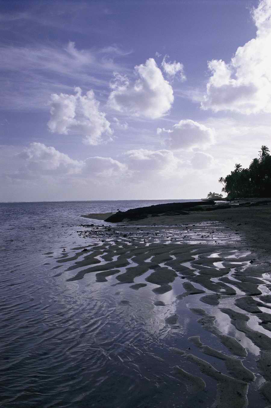 Tropical Paradise - KPT Power Photos ></a>
<script language=JavaScript> 
  var txt = 