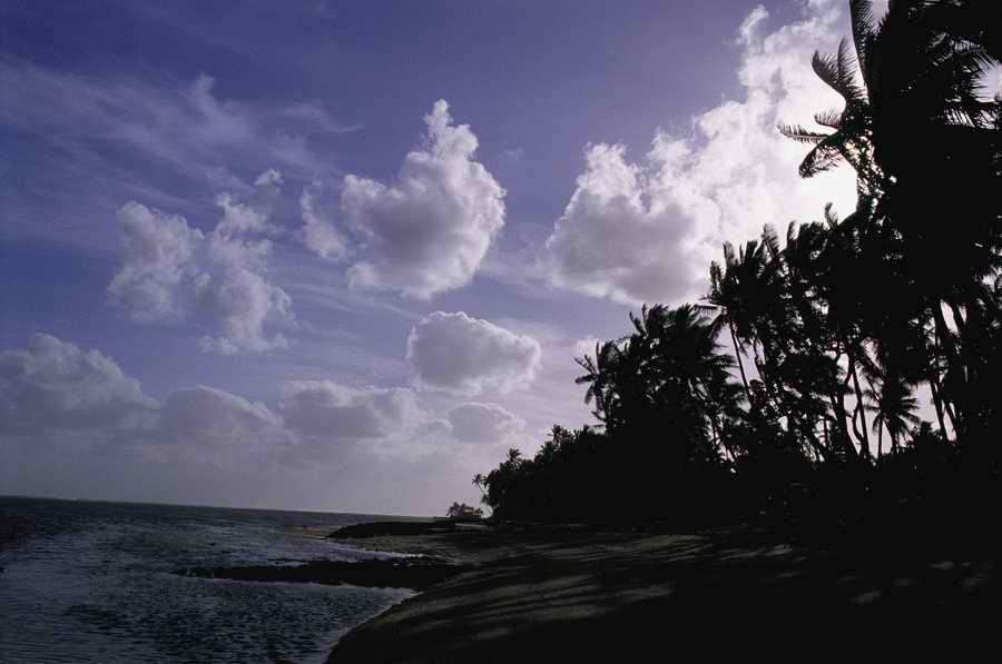 Tropical Paradise - KPT Power Photos ></a>
<script language=JavaScript> 
  var txt = 