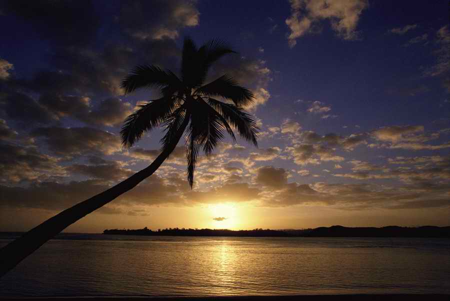 Tropical Paradise - KPT Power Photos ></a>
<script language=JavaScript> 
  var txt = 