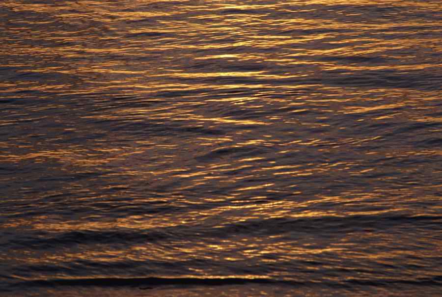 Tropical Paradise - KPT Power Photos ></a>
<script language=JavaScript> 
  var txt = 