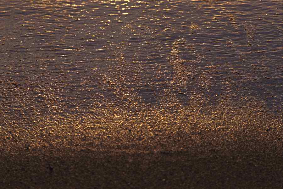 Tropical Paradise - KPT Power Photos ></a>
<script language=JavaScript> 
  var txt = 