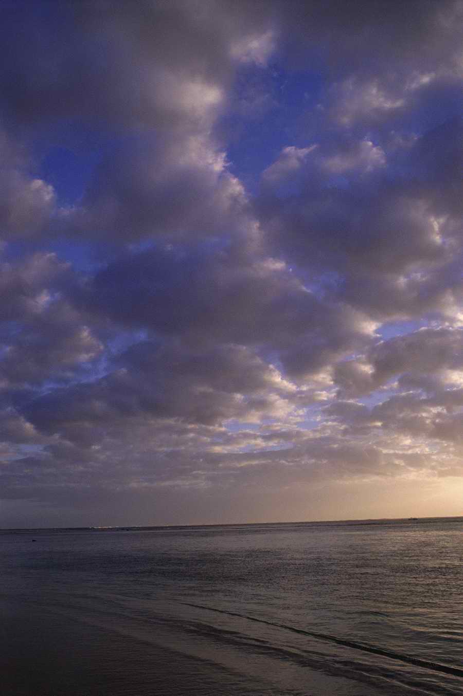 Tropical Paradise - KPT Power Photos ></a>
<script language=JavaScript> 
  var txt = 