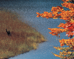 Mixa Image Library: Autumn View 