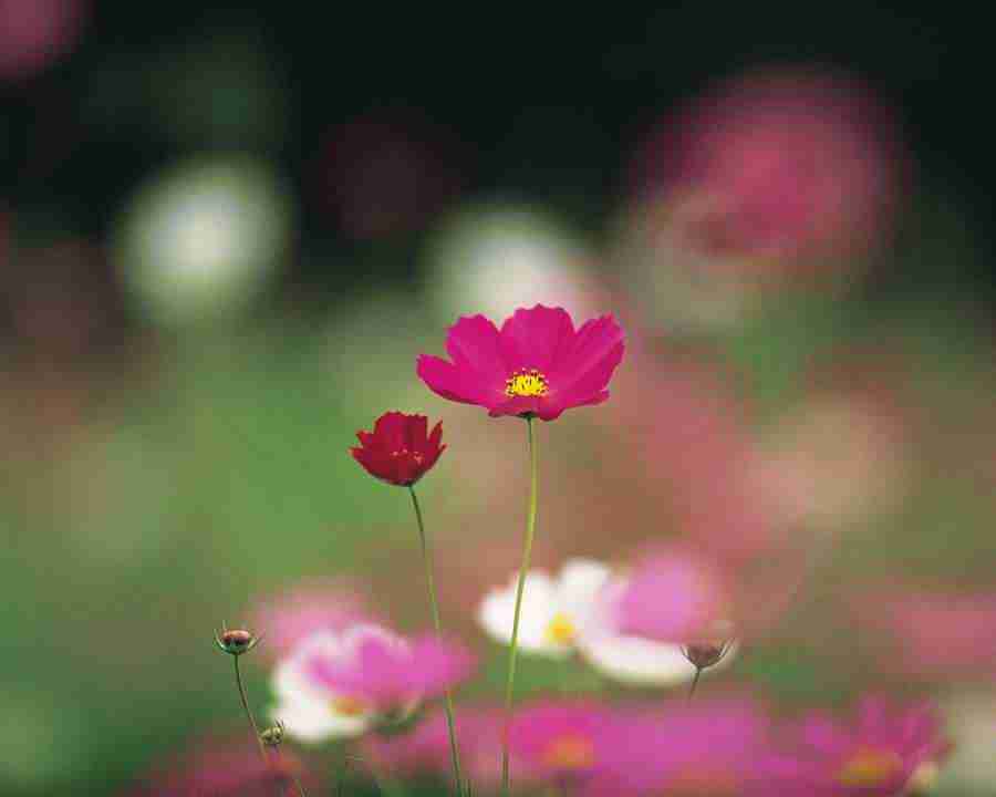 Autumn View - Mixa Image Library ></a>
<script language=JavaScript> 
  var txt = 