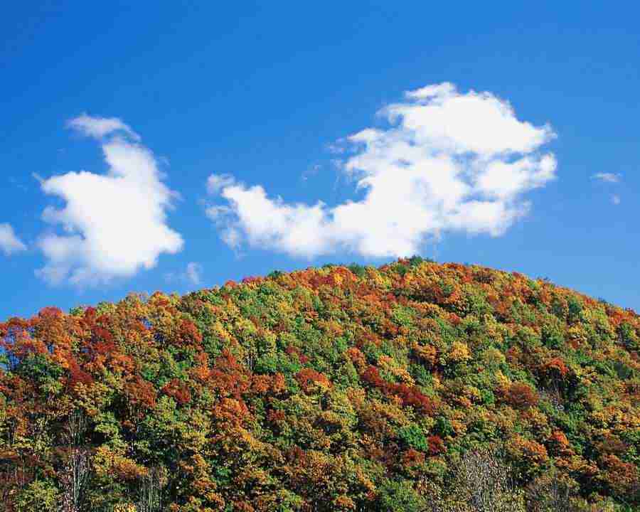 Autumn View - Mixa Image Library ></a>
<script language=JavaScript> 
  var txt = 