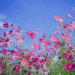 Mixa Image Library: Beautiful Seasons 