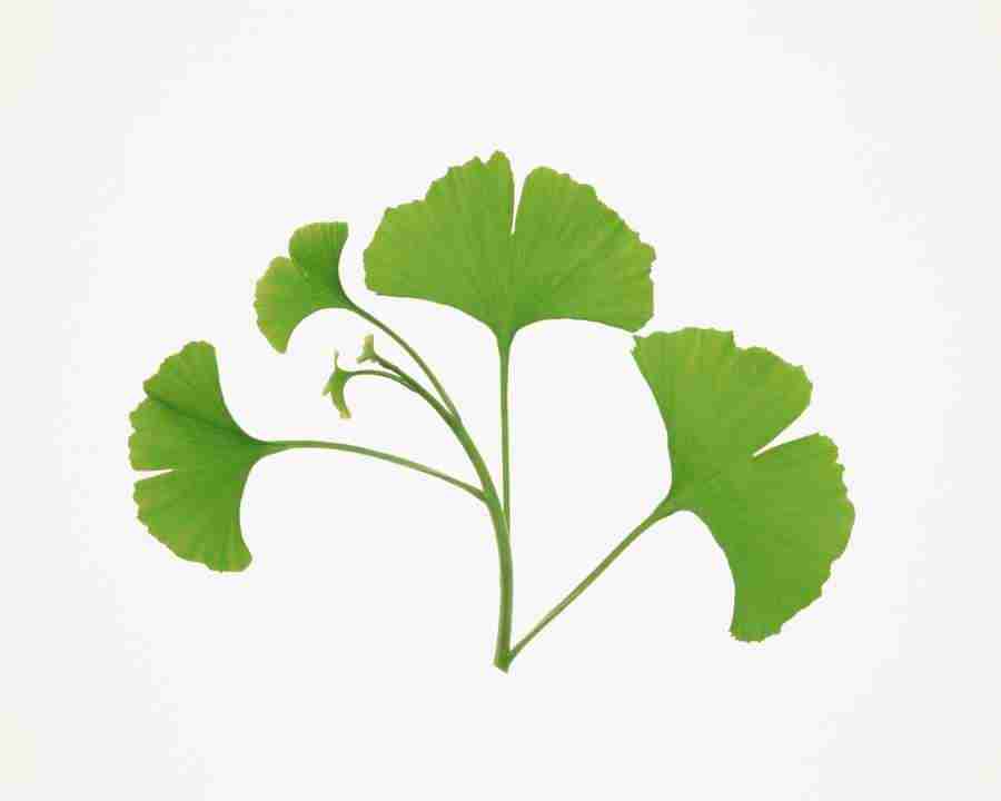 Beautiful Seasons - Mixa Image Library ></a>
<script language=JavaScript> 
  var txt = 
