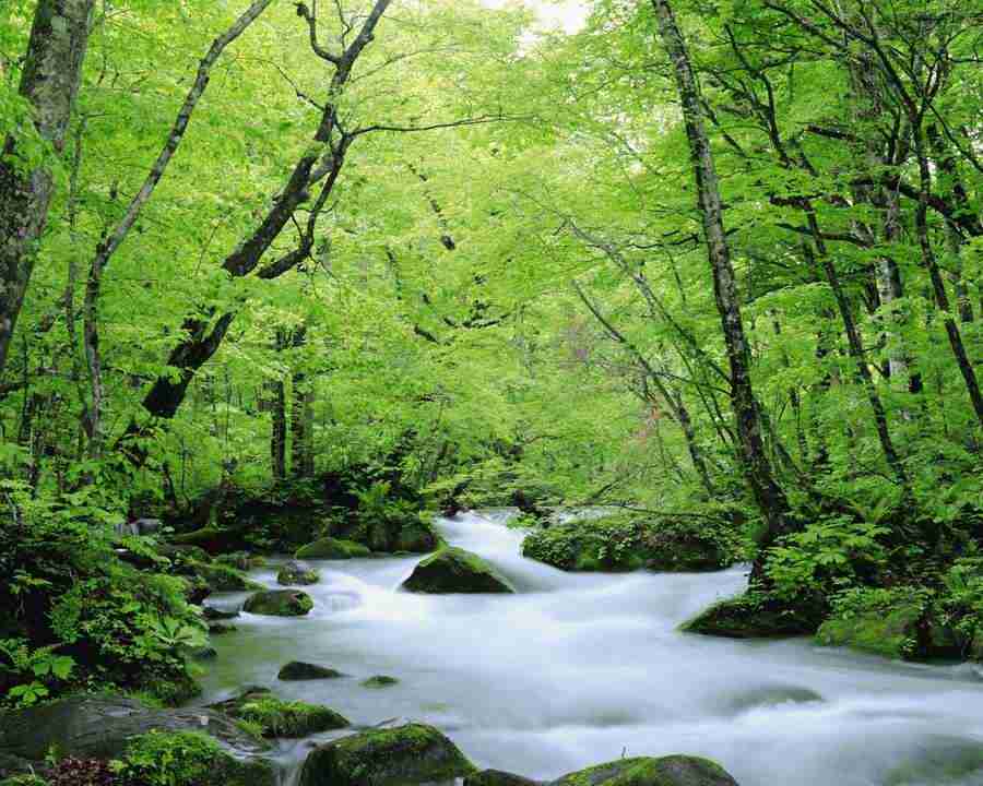 Beautiful Seasons - Mixa Image Library ></a>
<script language=JavaScript> 
  var txt = 