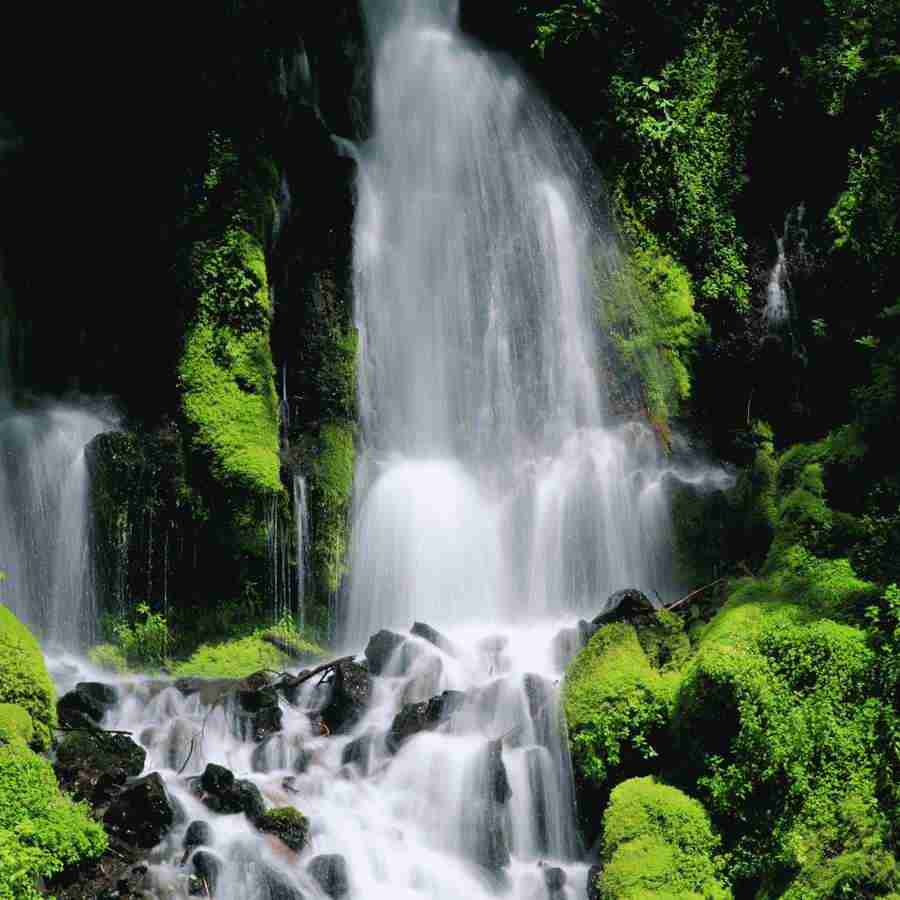Beautiful Seasons - Mixa Image Library ></a>
<script language=JavaScript> 
  var txt = 