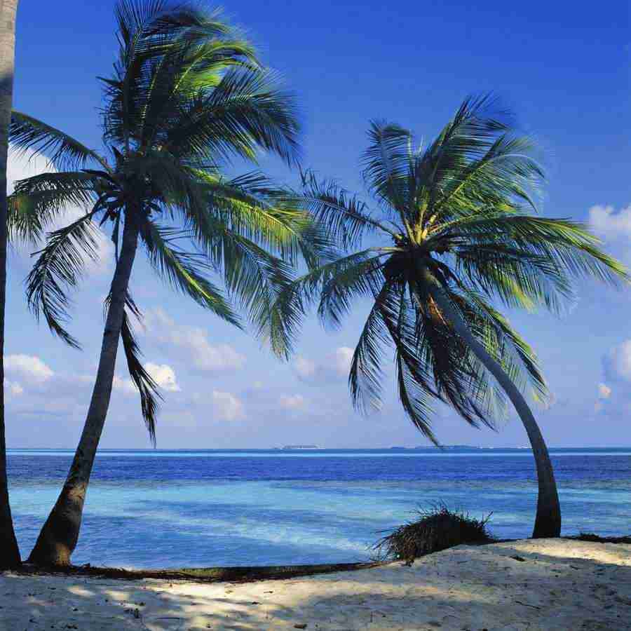 Beautiful Seasons - Mixa Image Library ></a>
<script language=JavaScript> 
  var txt = 
