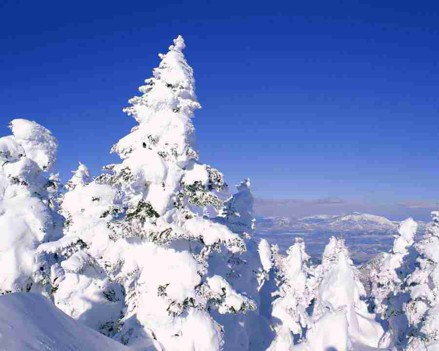 Beautiful Seasons - Mixa Image Library ></a>
<script language=JavaScript> 
  var txt = 