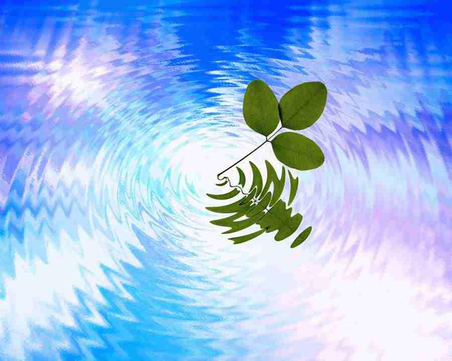 CG Nature World - Mixa Image Library ></a>
<script language=JavaScript> 
  var txt = 
