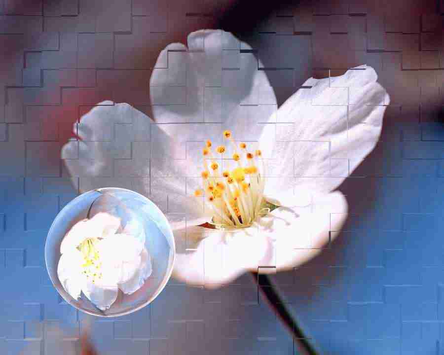 CG Nature World - Mixa Image Library ></a>
<script language=JavaScript> 
  var txt = 