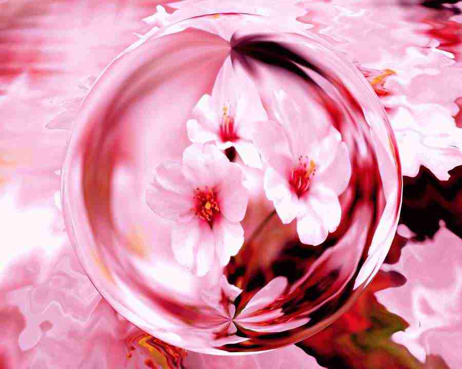 CG Nature World - Mixa Image Library ></a>
<script language=JavaScript> 
  var txt = 
