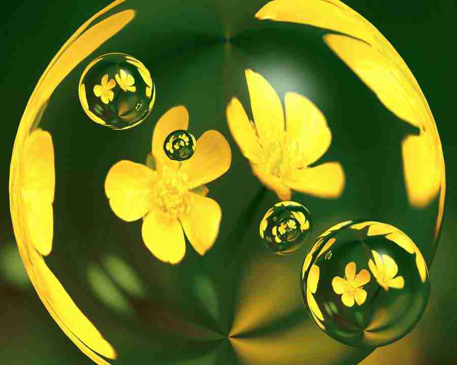 CG Nature World - Mixa Image Library ></a>
<script language=JavaScript> 
  var txt = 